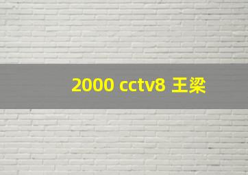 2000 cctv8 王梁